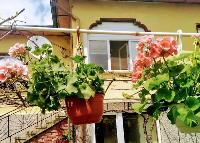 Lovely In With Garden And Garage Dragoman