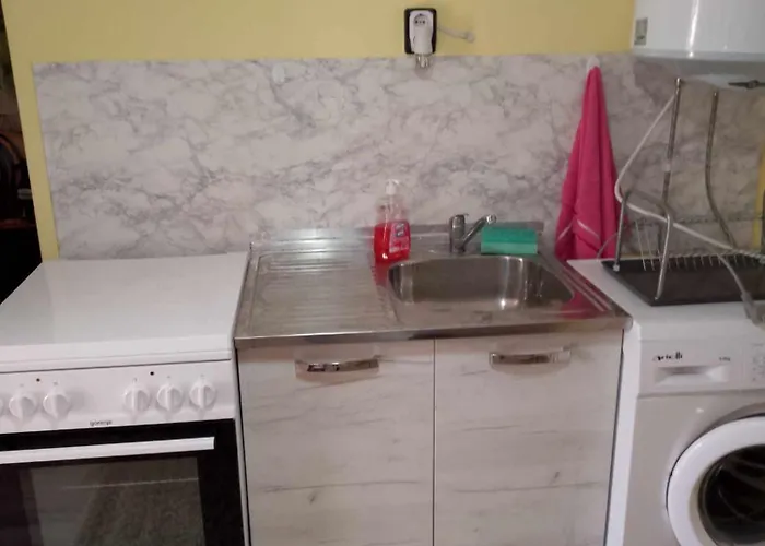 Lovely In With Garden And Garage Daire *