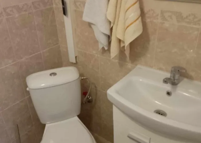 Lovely In With Garden And Garage Daire *